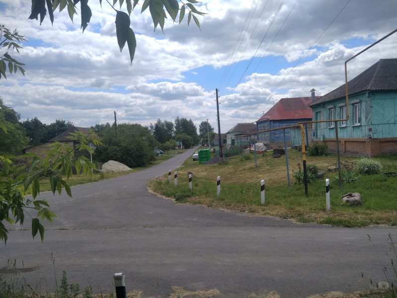 Фотографии.
